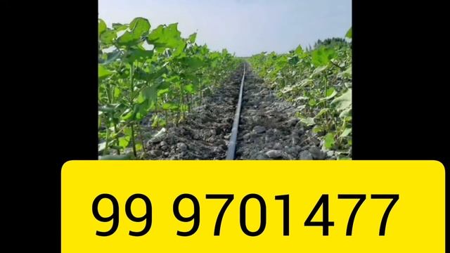 ТИПЛИЦА НАВЕС #ЧОРВА НАВЕСЛАР #УЗБЕКИСТОН БОЙЛАБ  КЕЛИШЛГАН НАРХЛАРДА 9798940 60 .94 849 77 14 шу