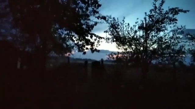 Эпизоды дня + игра на варгане ) смотреть онлайн