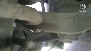 СХОД - РАЗВАЛ. НА КОЛЕНКЕ!!! ВОРТЕКС ЭСТИНА