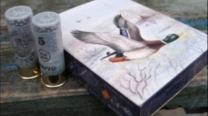 ? КАКИЕ ПАТРОНЫ ЛУЧШЕ 12 КАЛИБРА? ПОПУЛЯРНЫЕ ПРОИЗВОДИТЕЛИ.