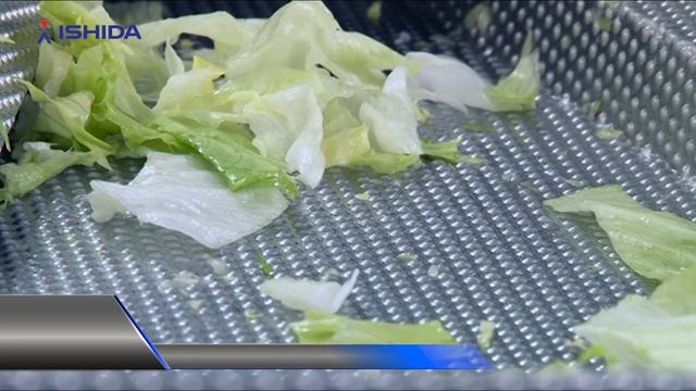 Ishida Multihead Weigher. Application: salad into bags. Belaya Dacha, Russia. Белая Дача. смотреть онлайн