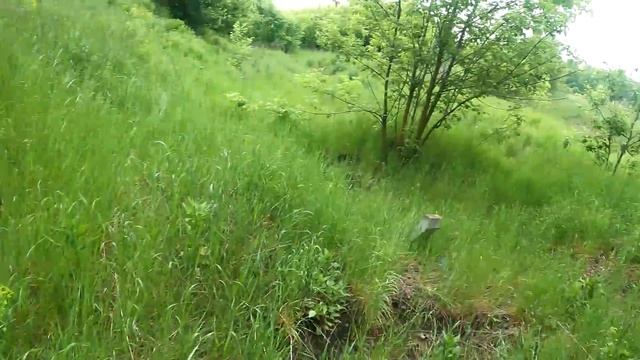 Тянем МЕДНЫЙ КАБЕЛЬ!!!!#металлокоп#копметалла смотреть онлайн