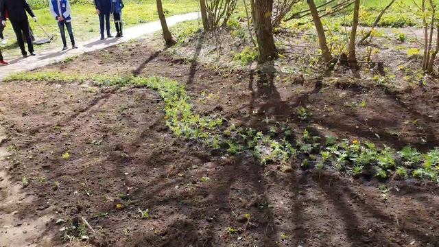 Подарок ветеранам ВОВ от боксёров клуба "РИНГ" и волонтёров - клумба с цветами смотреть онлайн