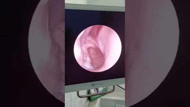 11 июня 2021 г. смотреть онлайн