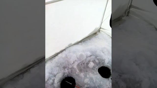 карасик зимой смотреть онлайн
