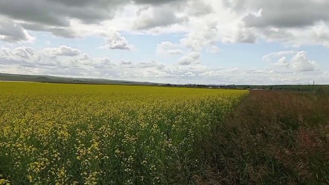 Фотосессии в Хакасии, по дороге на озера. смотреть онлайн