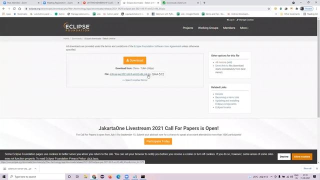 Selenium WebDriver with Core Java and Many Live projects - Batch Sep 2021 - Day 1 смотреть онлайн