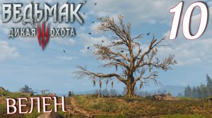 Ведьмак 3: Дикая охота. Прохождение ─ Часть 10: Велен