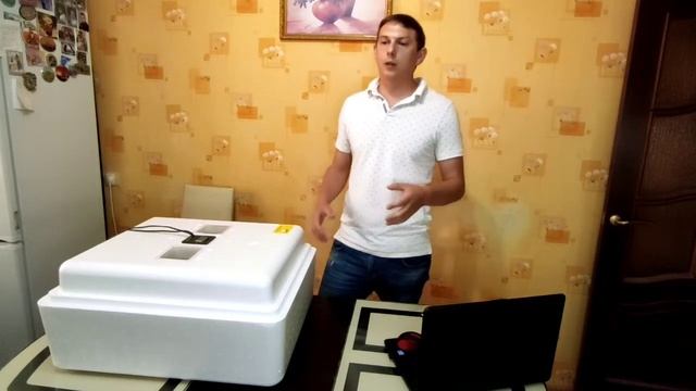 Инкубация цыплят курицы и фазана. Инкубатор Нисушка. (инструкция от А до Я) смотреть онлайн