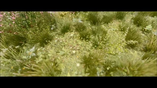 8K Pine Forest Showcase смотреть онлайн