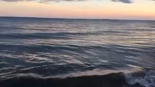 Акулы на пляже Брайтон Бич, вечер 19 июля смотреть онлайн