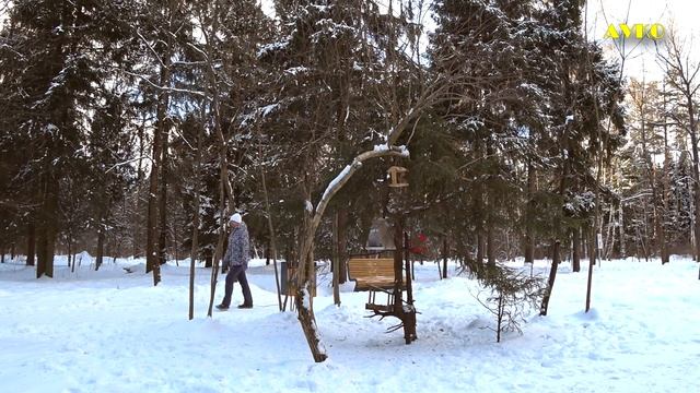 2023 г. Балашиха. Зимняя прогулка по Ольгинскому лесопарку. смотреть онлайн