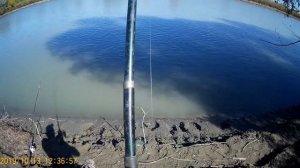 Река Протока, Славянск на Кубани рыбалка, сом