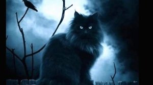 Елена ВАЕНГА- Лапки