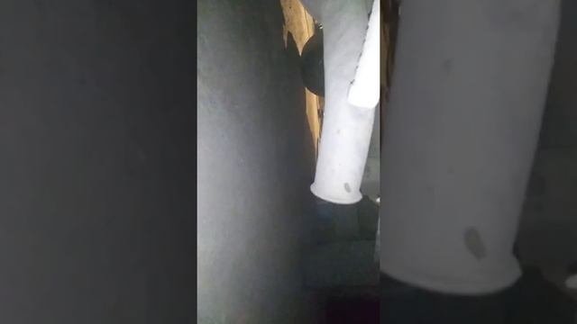 Вебаста на дукато смотреть онлайн