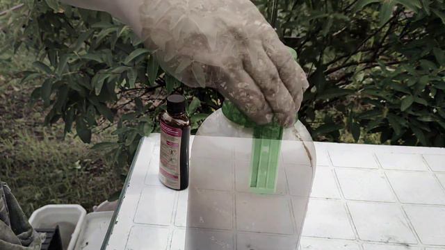 Подкормка цветов для пышного цветения. смотреть онлайн