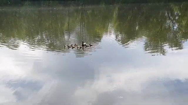 VLOG 06.06.2021 г Шашлыки/ В гостях на даче/ Рум тур дачи/ Туфли из Карри/ Покупки из Метро смотреть онлайн