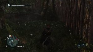 Assassin's Creed IV - Black Flag SP - Карта сокровищ 992, 422