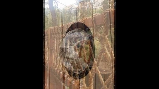 Креативные идеи заборов для дачи смотреть онлайн