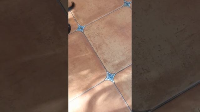 6 ноября 2023 г.