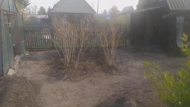 дача 15 смотреть онлайн