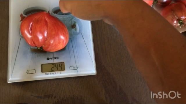 Обзор сортов томатов в разрезе к 2ч. смотреть онлайн