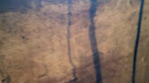 Дом из опилкобетона своими руками - отзыв