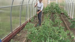 6 соток 10 июня 2023 года Хроника