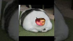 надо много кушать надо много спать