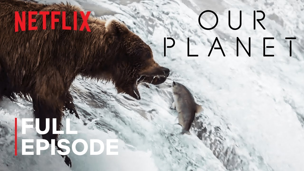 Наша Планета ⁄ Our Planet ⁄ Пресная вода ⁄ Netflix смотреть онлайн
