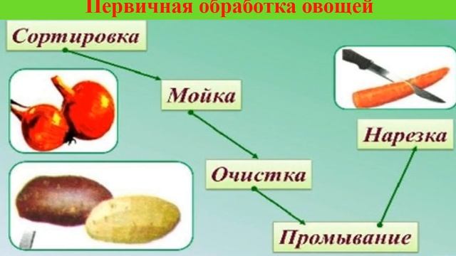 Художественный труд. 5кл. Тема ,,Технология приготовления салатов из овощей и фруктов,, смотреть онлайн