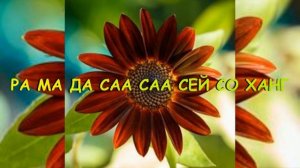 Мантра РА МА ДА САА САА СЕЙ СО ХАНГ