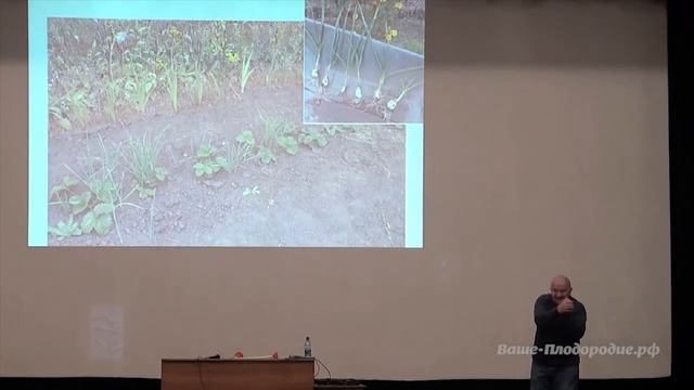 Семинар Б.А.Бублика «Самодостаточный огород» (2012) смотреть онлайн