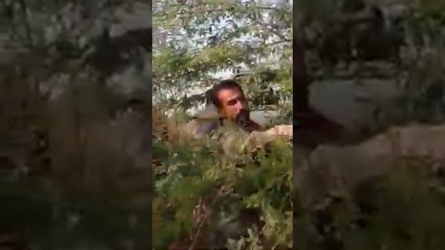 A Brave boy catch big Cobra Snake in Bazar смотреть онлайн