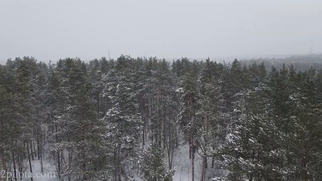 Невероятно чарующая природа,красивая зимняя сказка/Самарская область смотреть онлайн