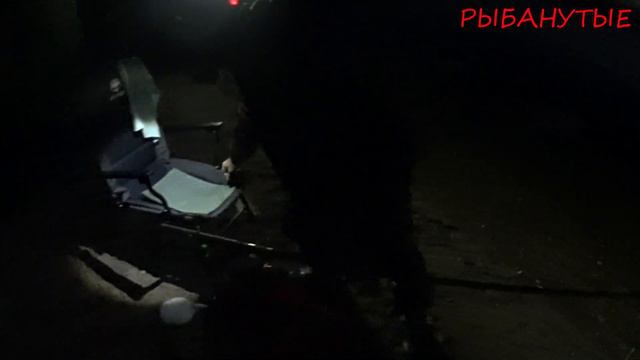 Четыре дня на Чудо-Озере Удомле. 2 часть . Ловим Канального сомика и подлещиков. Летний фидер 2023. смотреть онлайн