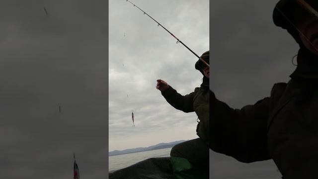 Рыбалка на минтая в Находке. смотреть онлайн