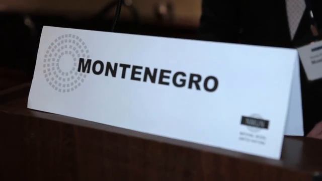 NMUN•NY 2014 Video Contest Winner - Eberhard Karls University Tuebingen смотреть онлайн