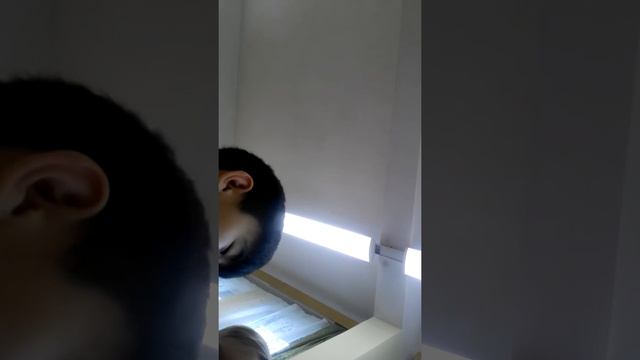 Включил камеру на уроке смотреть онлайн