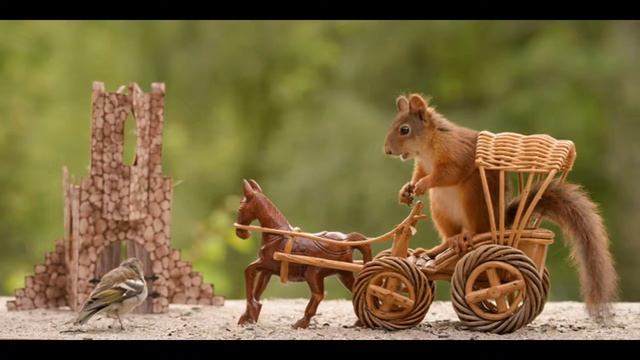 Белки играют в "Игру престолов" смотреть онлайн