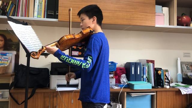 Bach Sonata for Vilolin Solo No.1 in B Minor, BWV 1002：IV（Double）Presto。（practice） смотреть онлайн