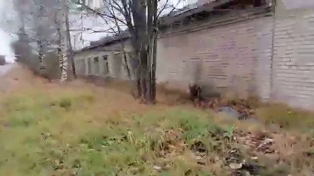 д.Антропово смотреть онлайн