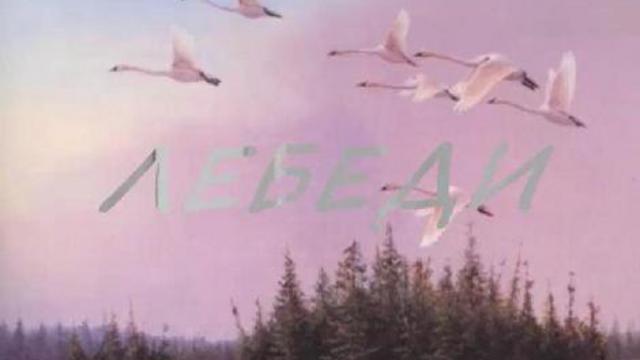 лебеди