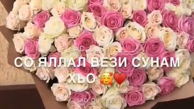 гергара хетий сунам хьо🎶❤ смотреть онлайн