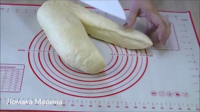 Наука о Животных и их Поведение