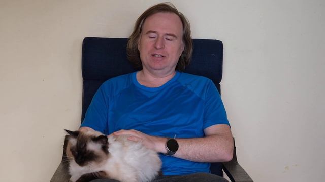 Рассказываю про котенка Пушинка породы Невская Маскарадная. смотреть онлайн