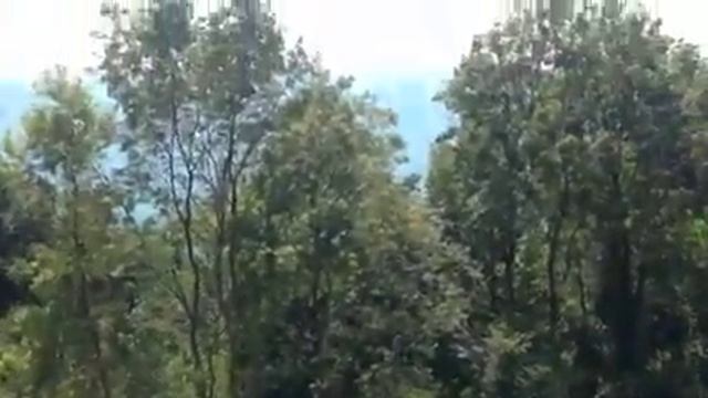 Вардане 4