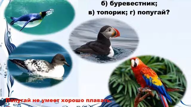 Викторина " Жизнь в океане" смотреть онлайн