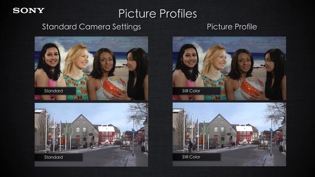 PXW-FS5 Official Tutorial Video #1 "Picture Profiles" | Sony Professional смотреть онлайн