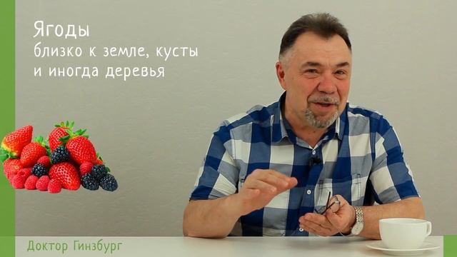 Фрукт или овощ. Как можно отличить продуты. Кто такой авокадо, очень полезеный при похудении смотреть онлайн